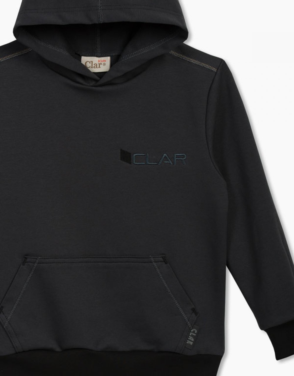 Pulover s kapuco - Hoodie z vezenjem